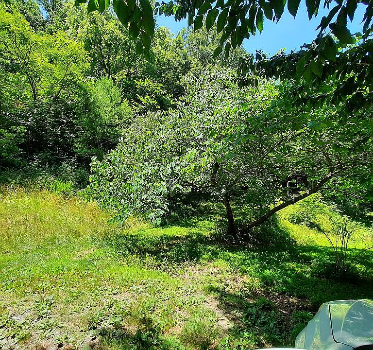 1806 New Stock Rd, Weaverville, NC 28787 Zillow