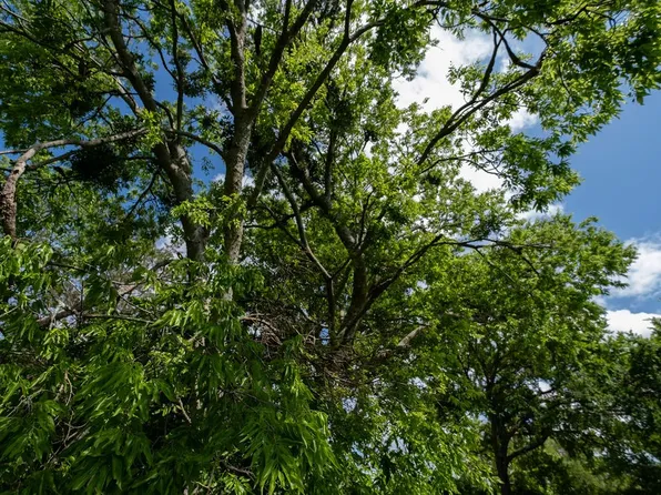 108 Williams St, Terrell, TX 75160