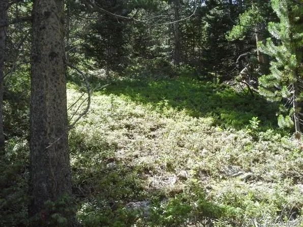 Hillside Road LOT 429, Idaho Springs, CO 80436