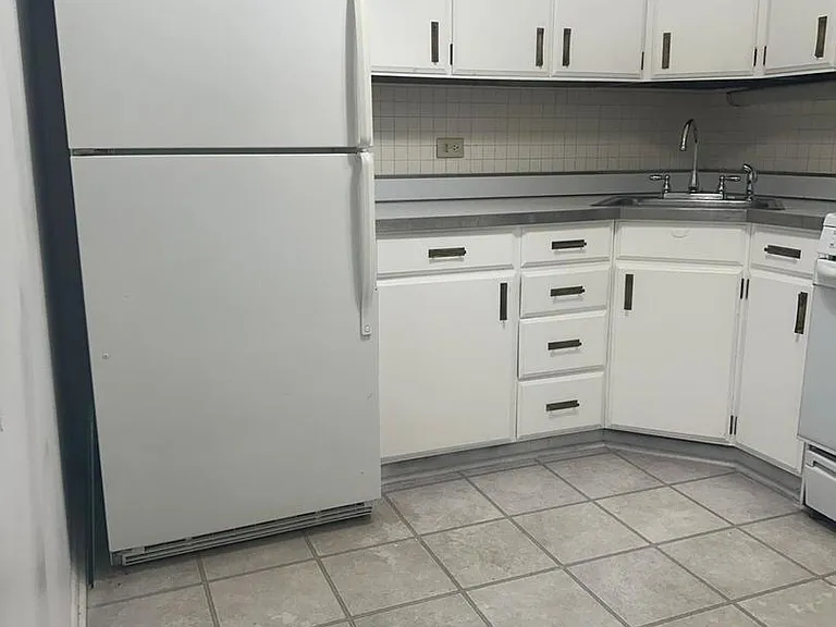 400 E Randolph St #921 — Photo 9
