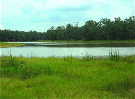 1st image of 21174 Grant Lake Cir