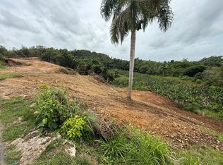 0 Solar 852m Bo Plns, Isabela, PR 00662