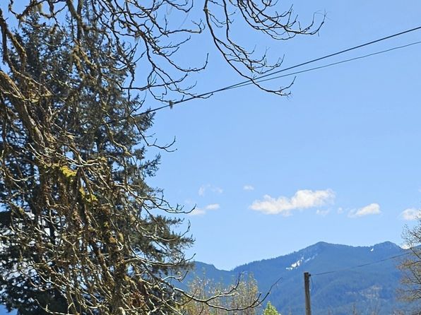 941 Silverbrook Road, Randle, WA 98377