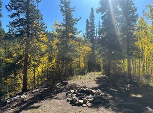 358 Peterson Dr, Alma, CO 80420
