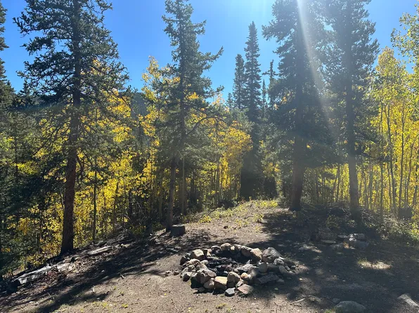 358 Peterson Dr, Alma, CO 80420