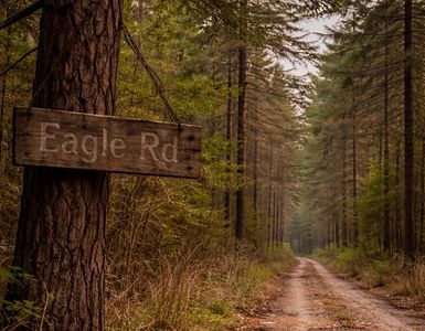 0 Eagle Rd, Clinton, AR, 72031