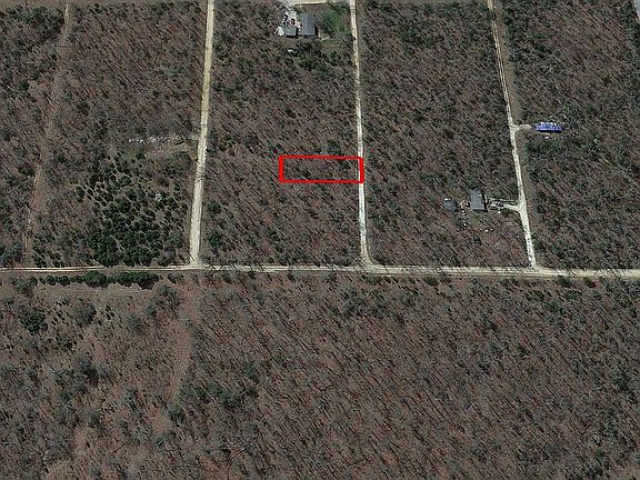 4th image of 1612 Huckle Berry Ln
