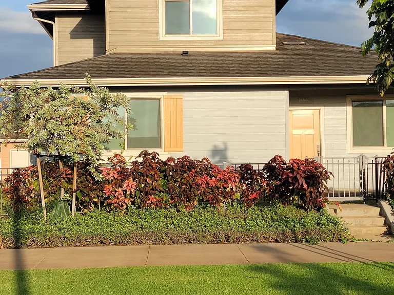 91-1672 Ulaula Loop — Photo 1