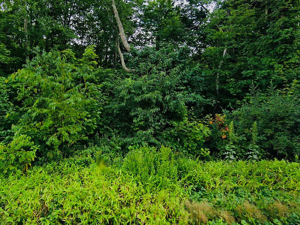 1st image of Lot 6 & 6A MASHAMOQUET Road