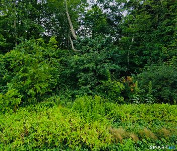 Lot 6 & 6A MASHAMOQUET Road, Pomfret Center, CT, 06259