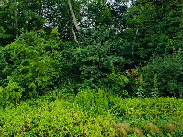 Lot 6 & 6A MASHAMOQUET Road, Pomfret, CT 06259