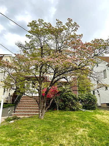 57 Derwent Ave Photo 1