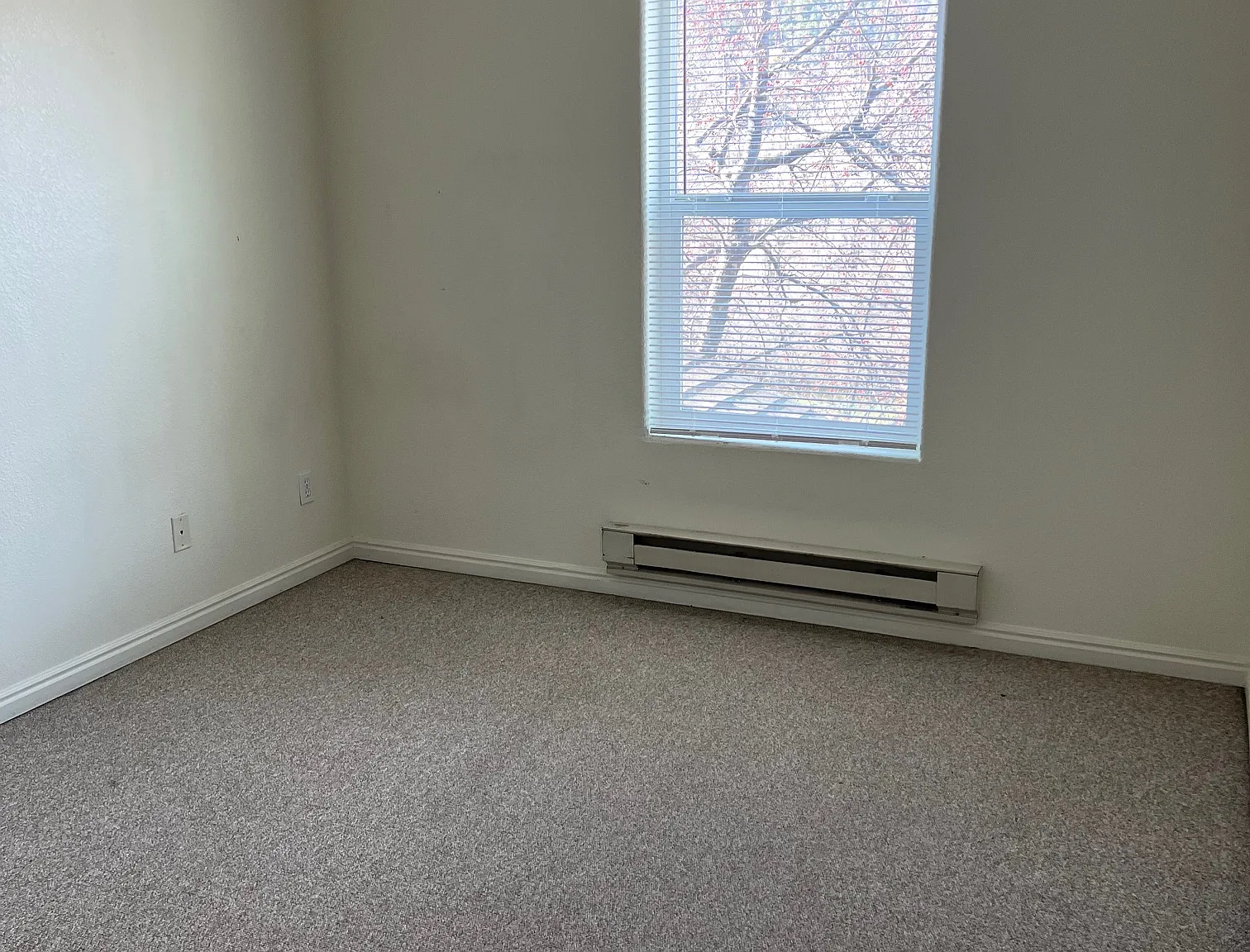 2 bed, 800 sqft, $1,650 — Photo 4