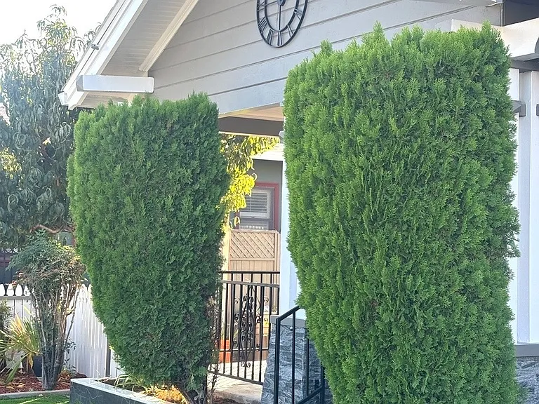 309 S Buena Vista Ave — Photo 5