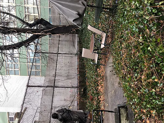 Rented by Downtown Realty Group LTD | media 16