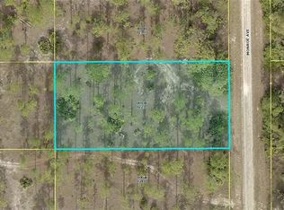 1119 Monroe Ave, Lehigh Acres, FL 33972
