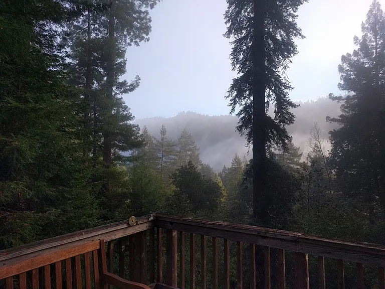 Window View