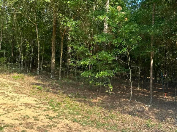 LOT Washington Ave, Beech Island, SC 29842