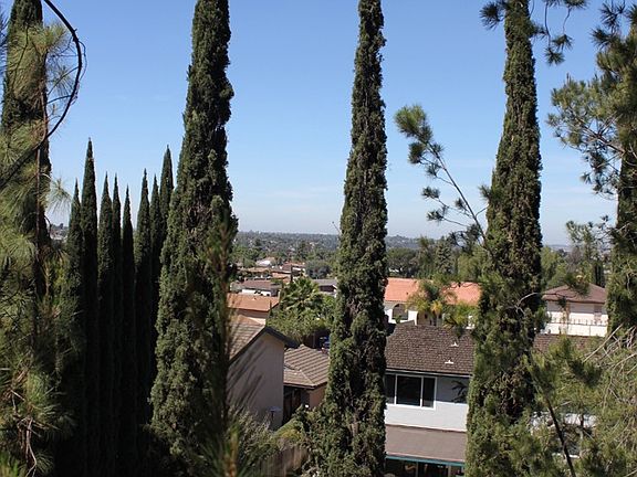 4th image of 6037 Chrismark Ave