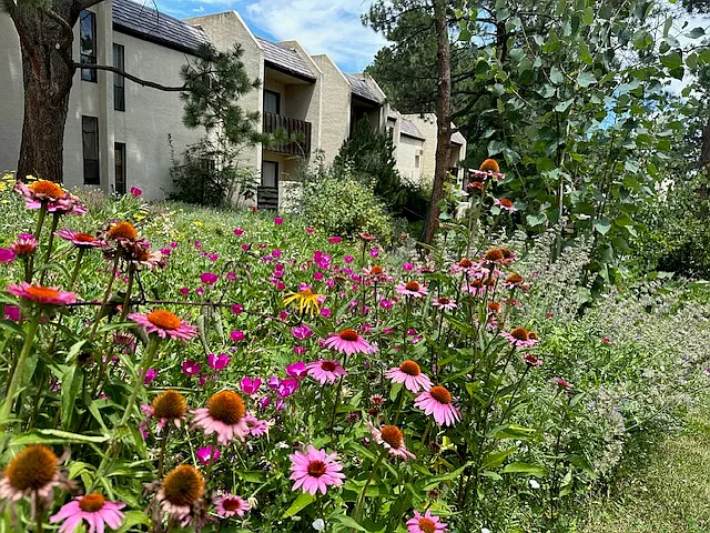 Glenpond Apartments — Photo 8