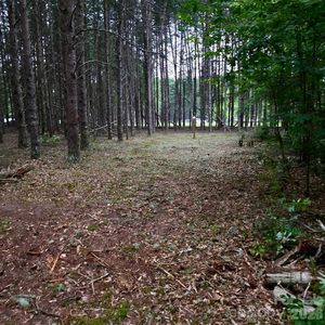 4251 Roberts Rd, Kershaw, SC, 29067