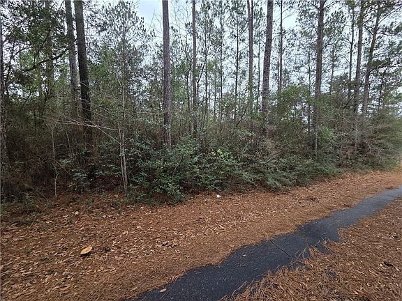 2nd image of 0 Highway 45 #12