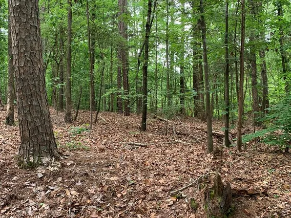 Occoneechee Dr, Clarksville, VA 23927