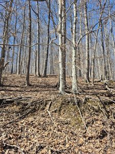 0 Walkers Dr, Buchanan, VA, 24066