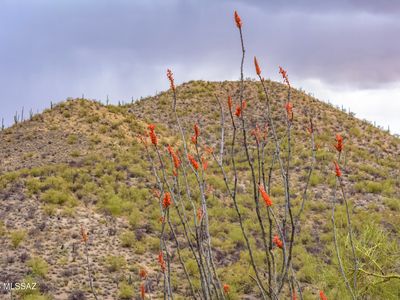 3025 W Placita Sierra Tortuga #4, Tucson, AZ, 85745