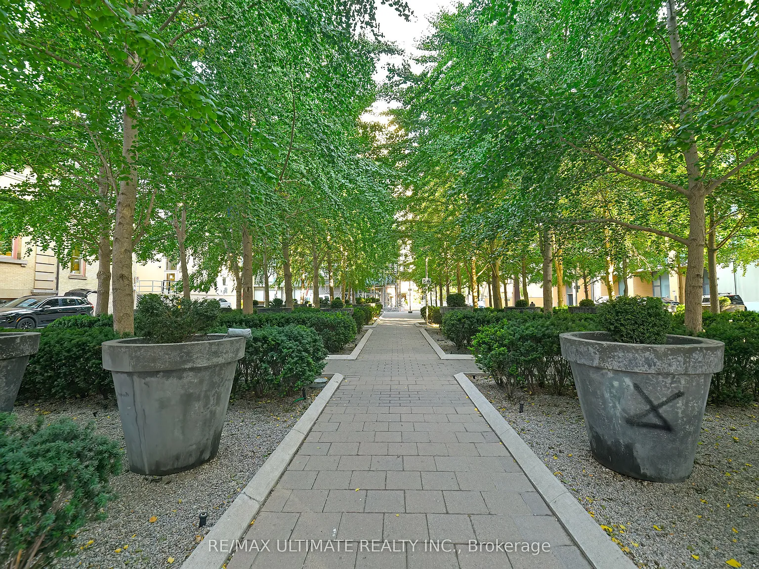 2 bed, $5,500 — Photo 3