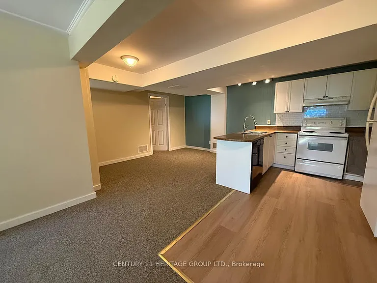 927 Srigley St #BASEMENT — Photo 3