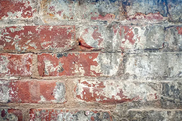 Rented by Compass | media 39