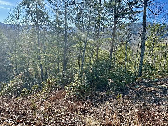 3rd image of 1306 Morning Dove Way Lot 32