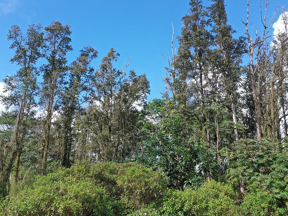 1st image of Gardenia Dr Lot 87