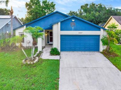 2007 Helm Ln, Valrico, FL, 33594