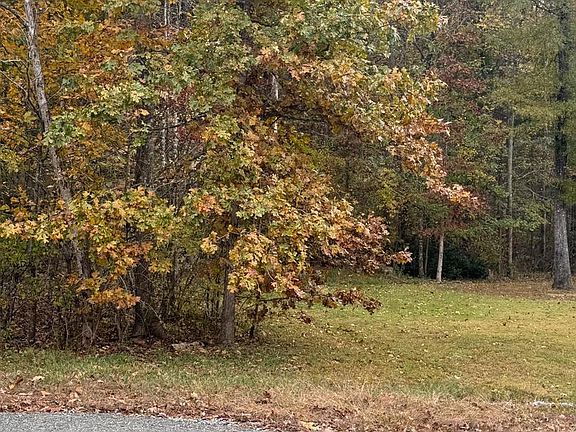 3rd image of 10150 Rainbow Ln