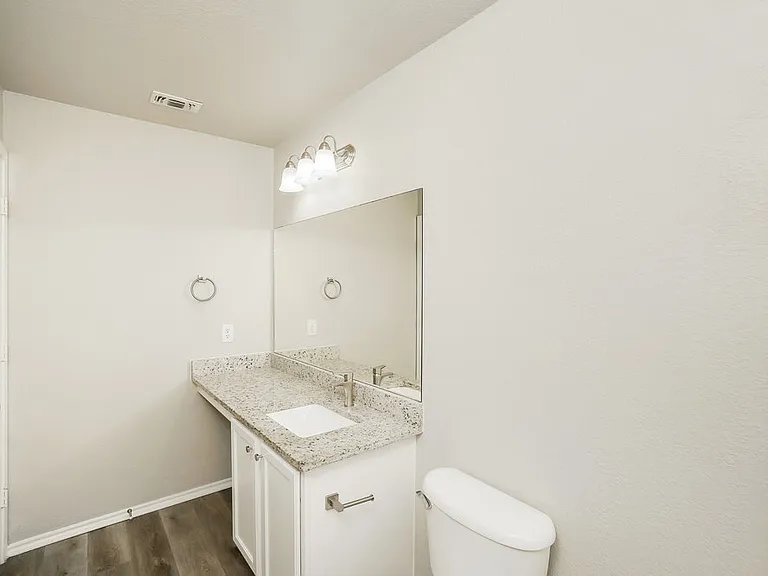 6323 Wild Flower Way — Photo 12