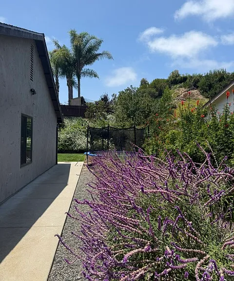 side yard