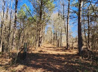 3353 Chapman Rd, Zebulon, GA 30295