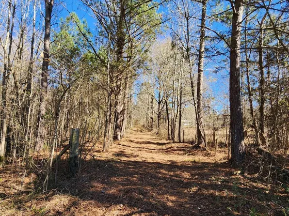 3353 Chapman Rd, Zebulon, GA 30295