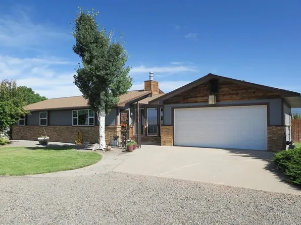 20657 Del Ray Dr, Eckert, CO 81418