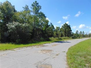 10429 N Vicki Ter, Citrus Springs, FL 34433