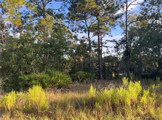 849 W Haguer Pl, Citrus Springs, FL 34434