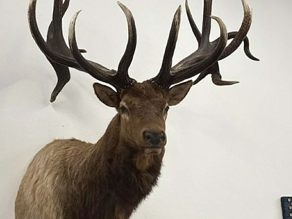 5th image of 355th St