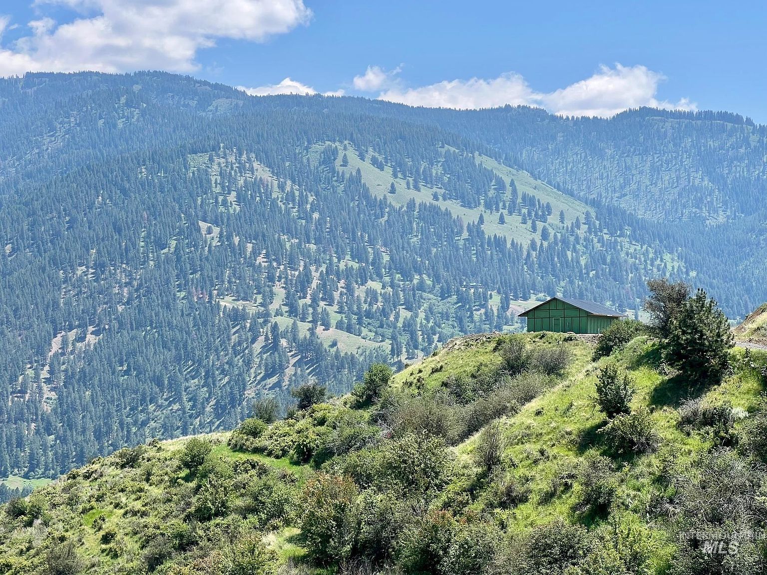 320 Whitewater Wilderness Dr, Pollock, ID 83547 MLS 98881397 Zillow