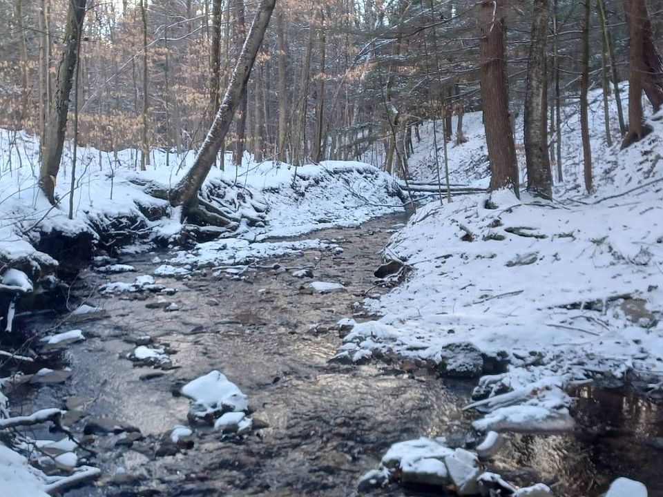 0 W Branch Rd, Millerton, PA 16936 Zillow