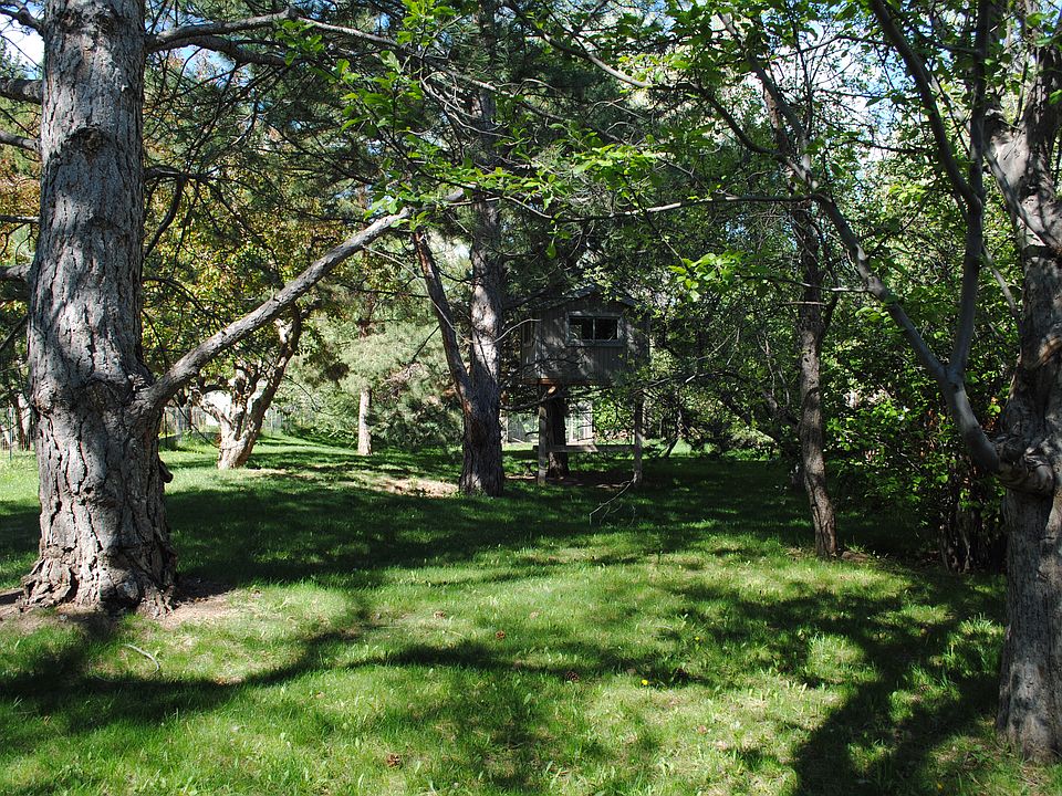 Far backyard w/treehouse