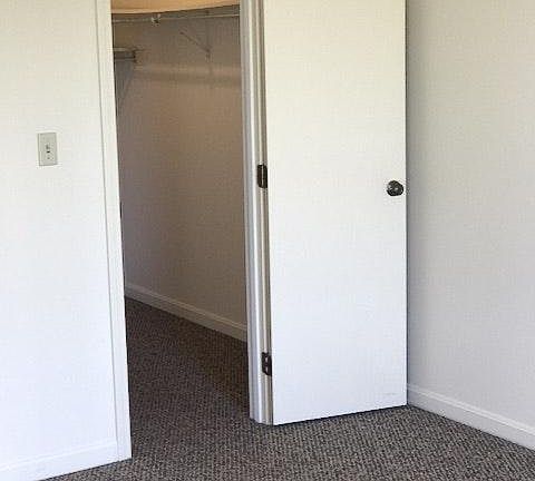 Master walk-in closet