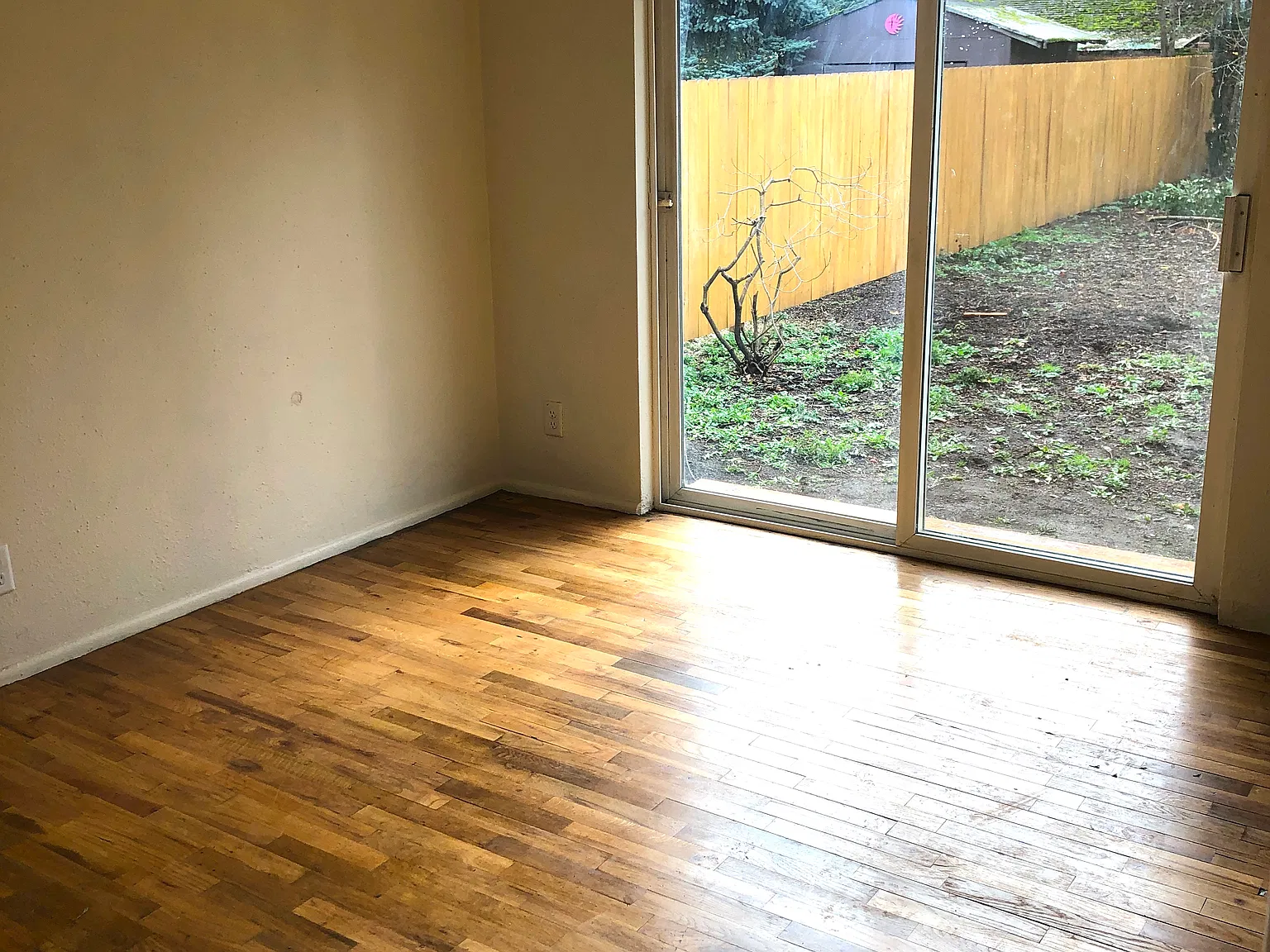 4 bed, 1500 sqft, $2,245 — Photo 3