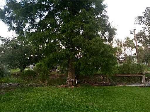 1st image of 800 Dove Blvd